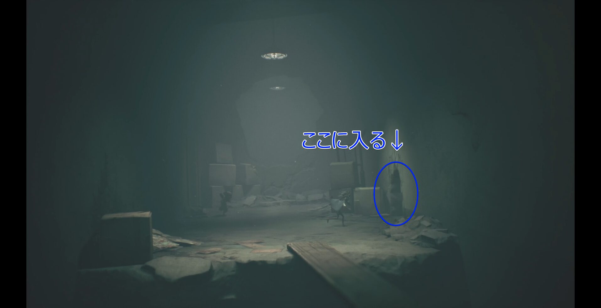 Dolls in the Institute (5 Total)